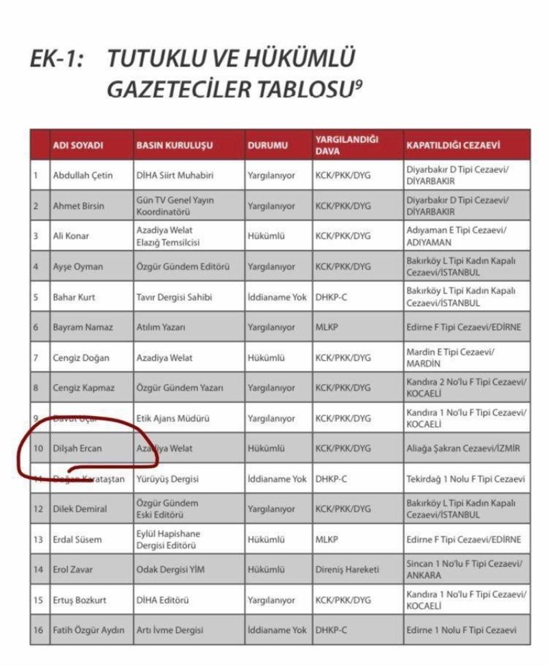 CHP’ye Dilşah Ercan tepkisi
