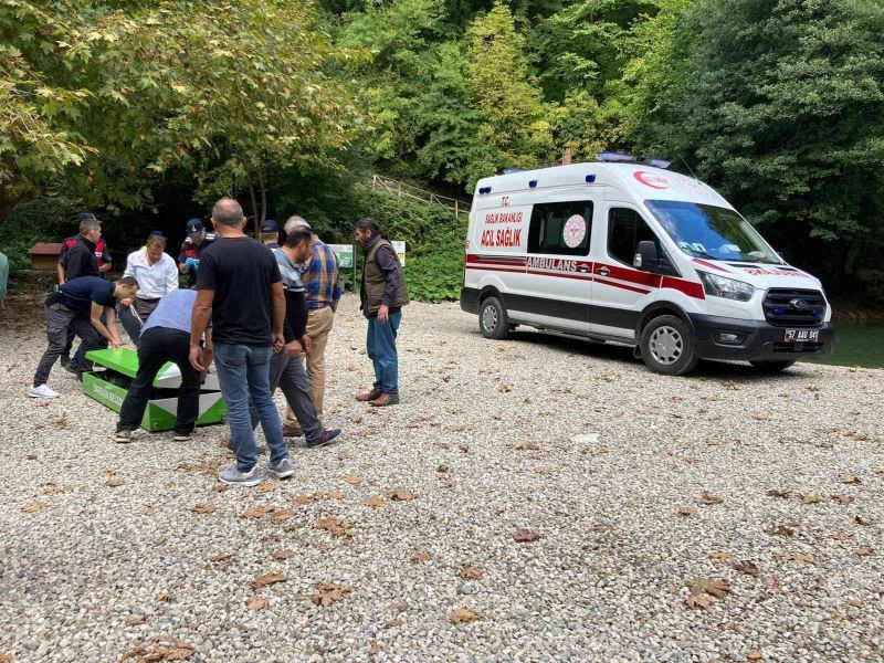 Denizli’den Sinop’a gezmeye giden ailenin üzerine ağaç devrildi: 2 ölü, 1 yaralı
