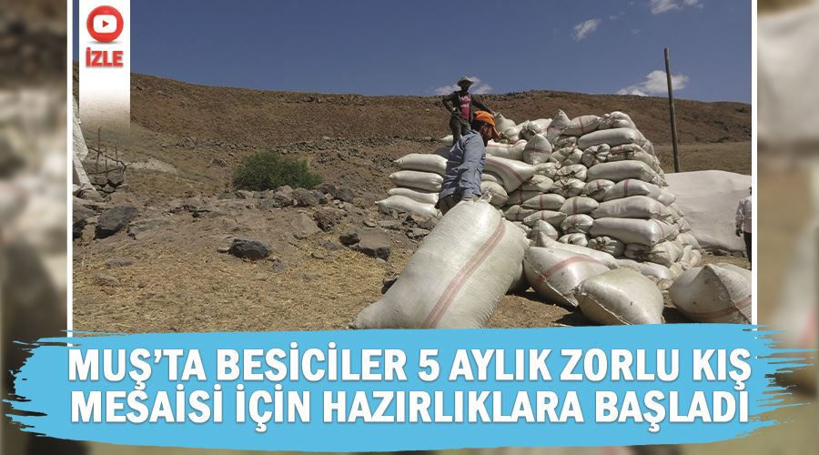 Muş’ta besiciler 5 aylık zorlu kış mesaisi için hazırlıklara başladı