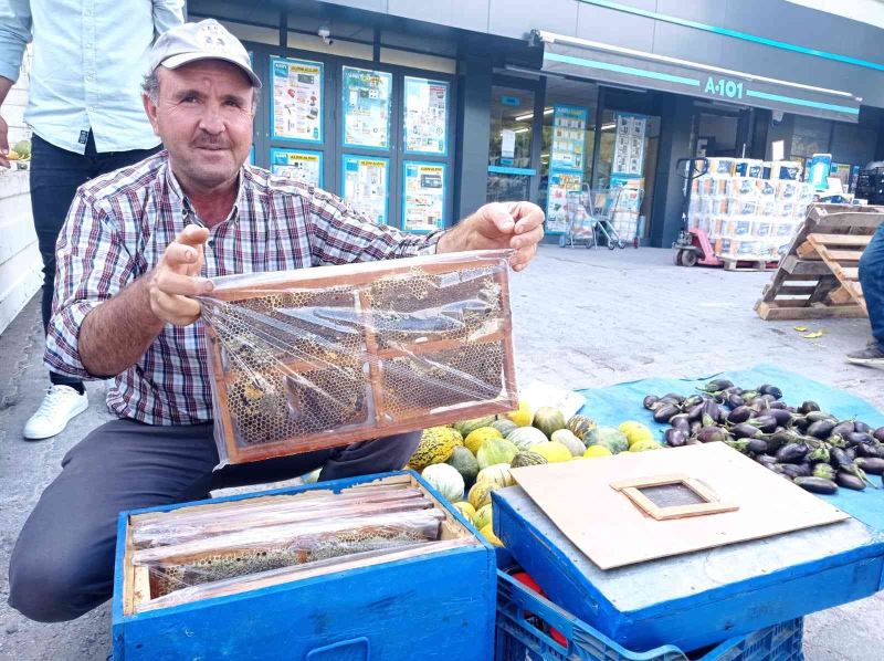 Kursta öğrendiği arıcılıkla meslek sahibi oldu
