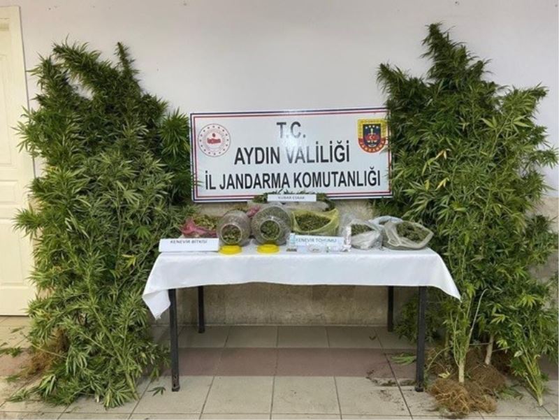 İsabeyli’de, 2 bin 520 gram uyuşturucu ve 51 kök hint keneviri ele geçirildi
