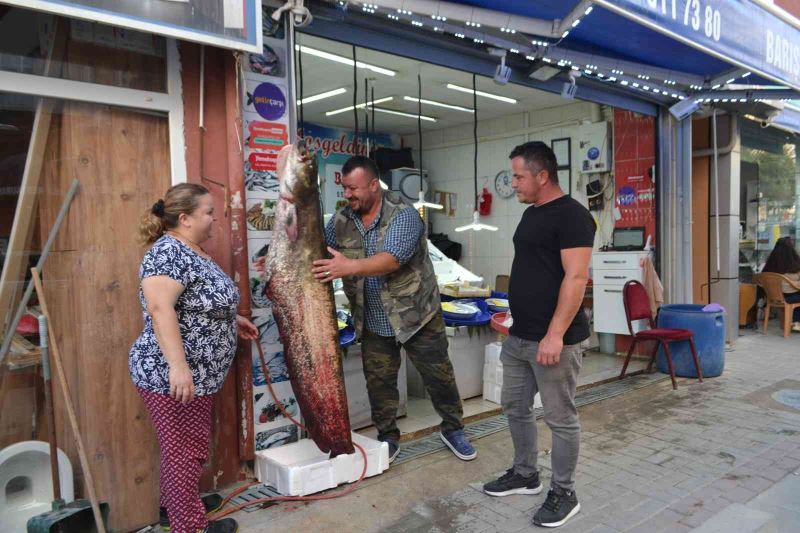 4 kişinin oltayla zor yakaladığı 80 kiloluk dev balığı görenler bakakaldı
