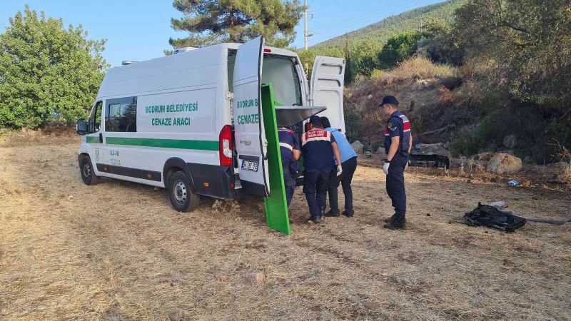 Anayoldan çıkan otomobil, tarlaya uçtu
