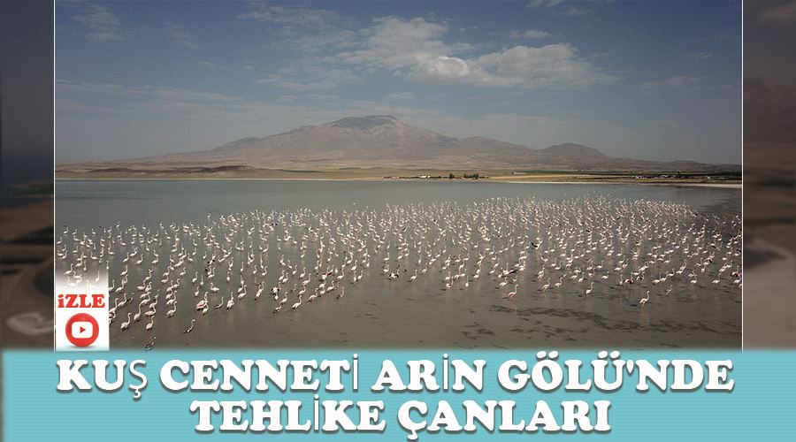 Kuş cenneti Arin Gölü