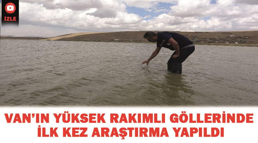 Van’ın yüksek rakımlı göllerinde ilk kez araştırma yapıldı