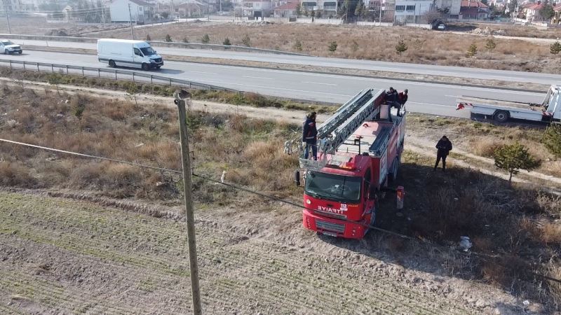 Elektrik direğinin tepesinde mahsur kalan kediyi itfaiye kurtardı
