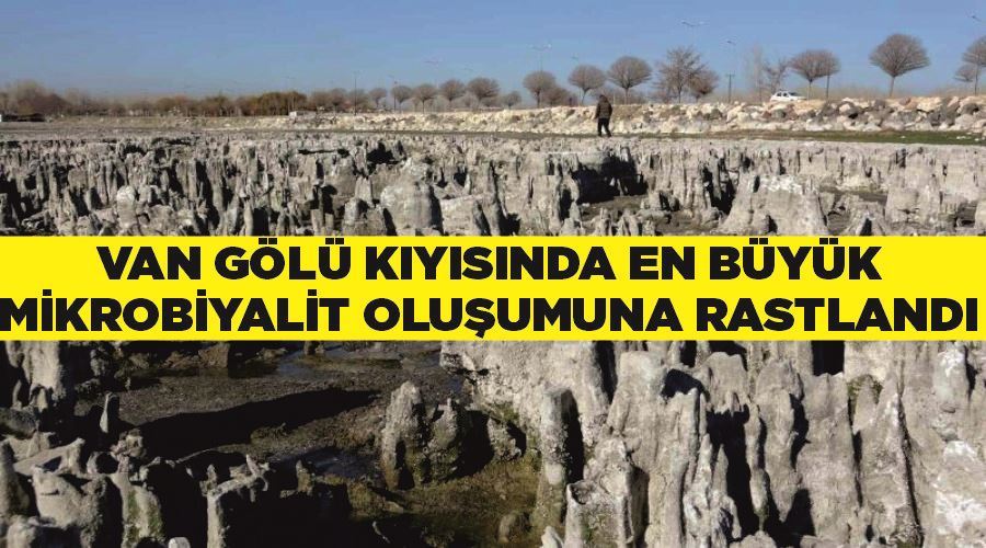 Van Gölü kıyısında en büyük mikrobiyalit oluşumuna rastlandı