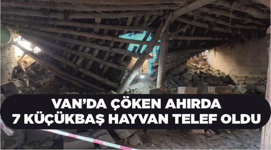 Van’da çöken ahırda 7 küçükbaş hayvan telef oldu