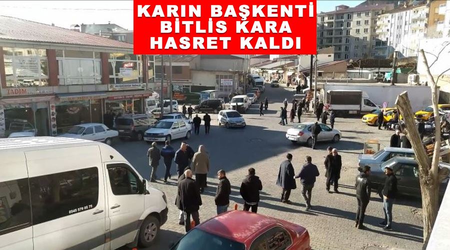 Karın başkenti Bitlis kara hasret kaldı