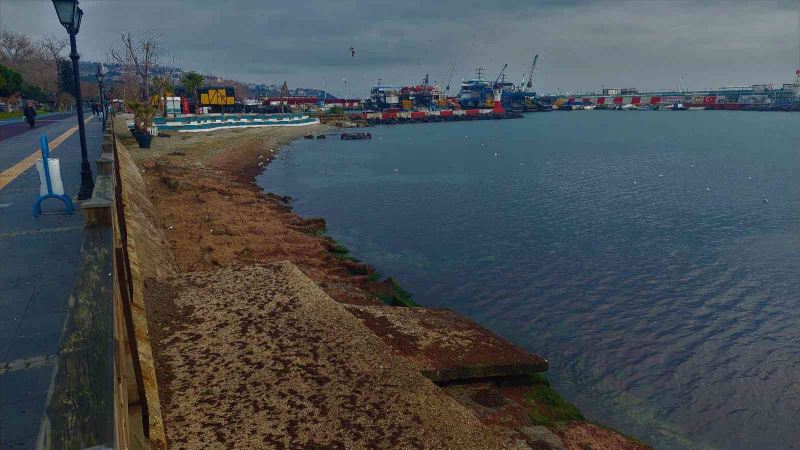 Fırtına Tekirdağ sahillerini kızıla boyadı
