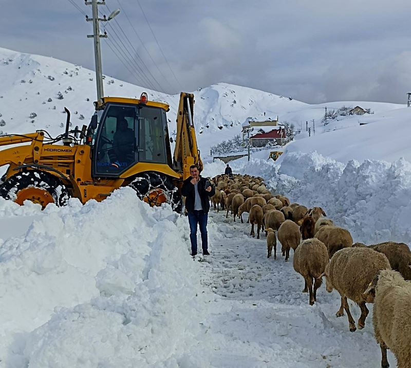 Yaylada koyunlarıyla birlikte 3 gün mahsur kalan çobanı belediye ekipleri kurtardı
