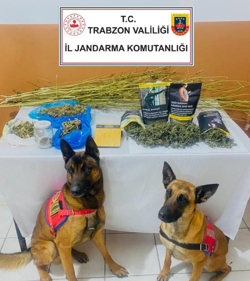 Uyuşturucu madde ticareti yapan kardeşler tutuklandı
