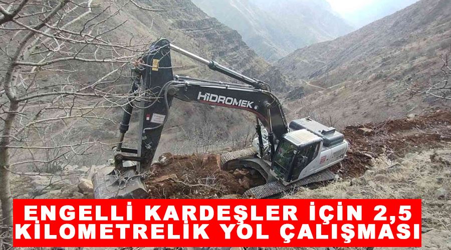 Engelli kardeşler için 2,5 kilometrelik yol çalışması