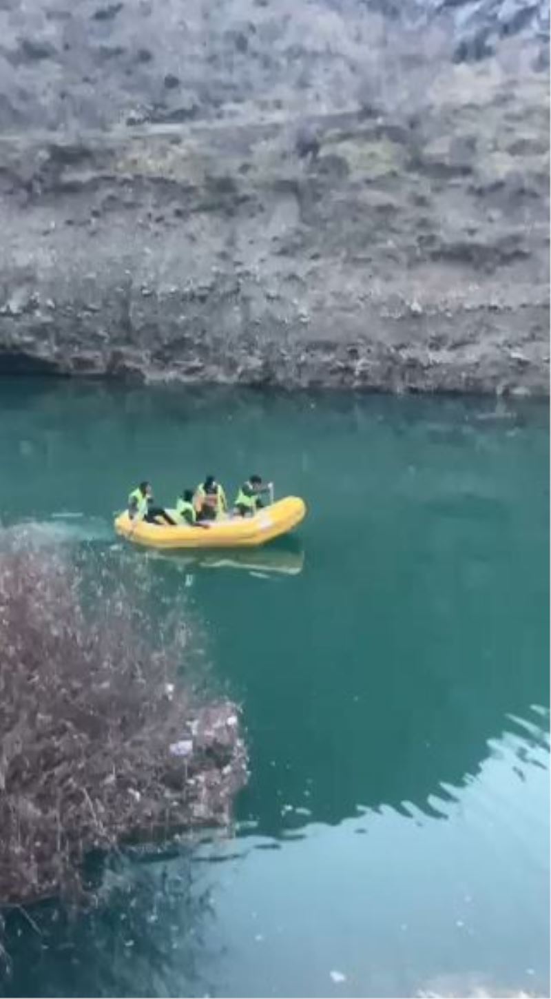 Sular altında kalacak Yusufeli’nden sokak köpeklerinin tahliyesi sürüyor
