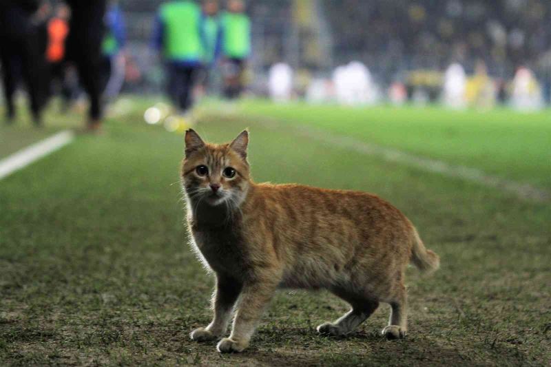 Ankaragücü, Beşiktaş maçında beklenmedik misafir
