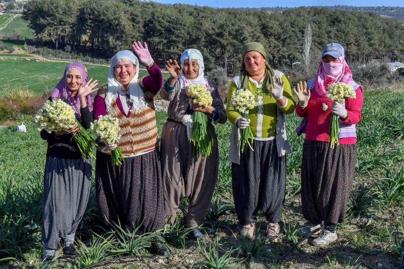 Mersin’de Nergis Festivali düzenlenecek
