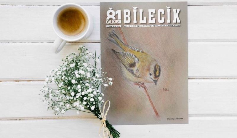 ’Çalıkuşu Bilecik’ dergisinin kapak tasarımı 11’inci sınıf öğrencisi yaptı
