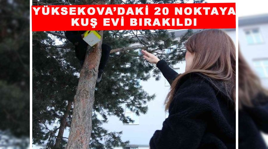 Yüksekova’daki 20 noktaya kuş evi bırakıldı