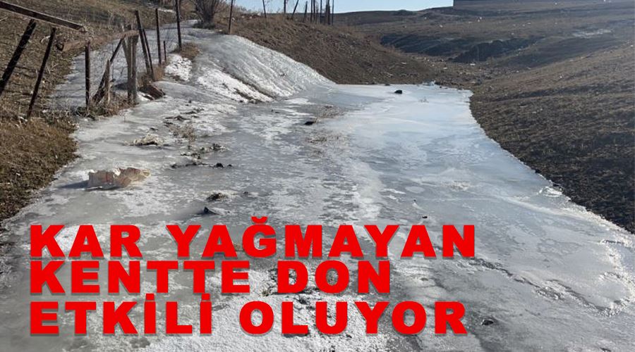 Kar yağmayan kentte don etkili oluyor