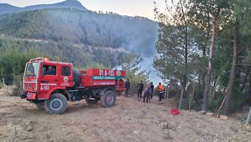 Osmaniye’nin Düziçi ilçesinde ormanlık alanda çıkan yangın kontrol altına alındı
