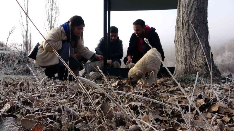 Hem israfın önüne geçiyorlar hem de sokak hayvanlarına ‘hayat’ oluyorlar
