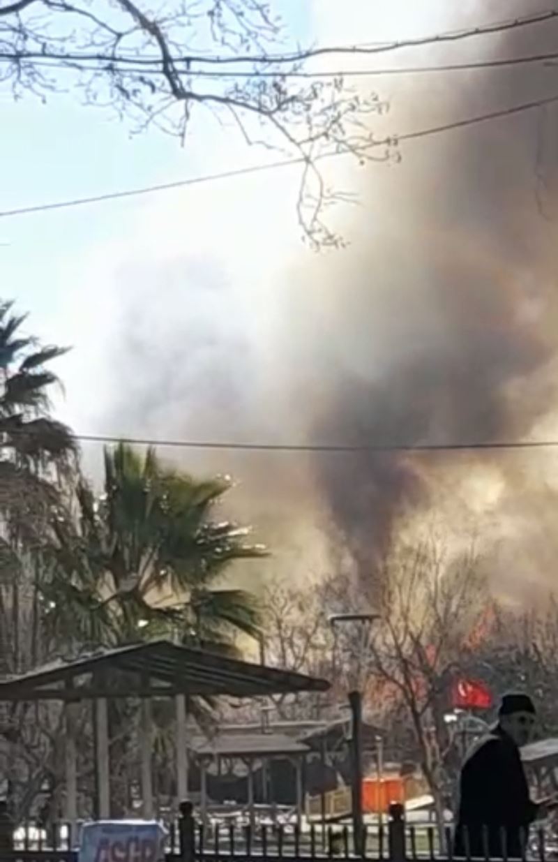 İznik’te sazlık alanda korkutan yangın
