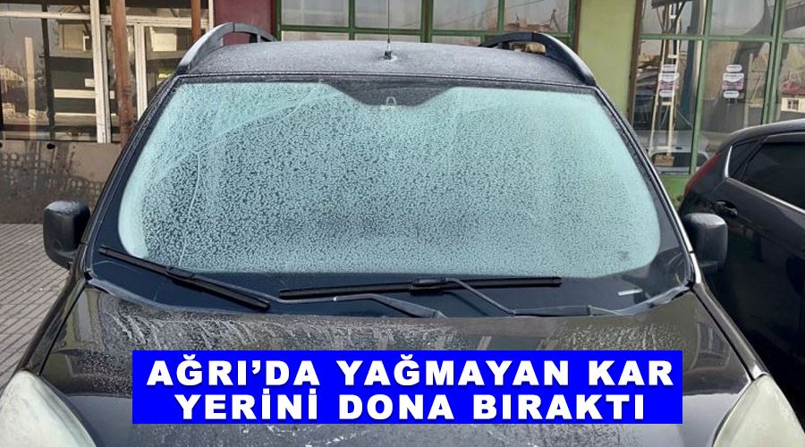 Ağrı’da yağmayan kar yerini dona bıraktı