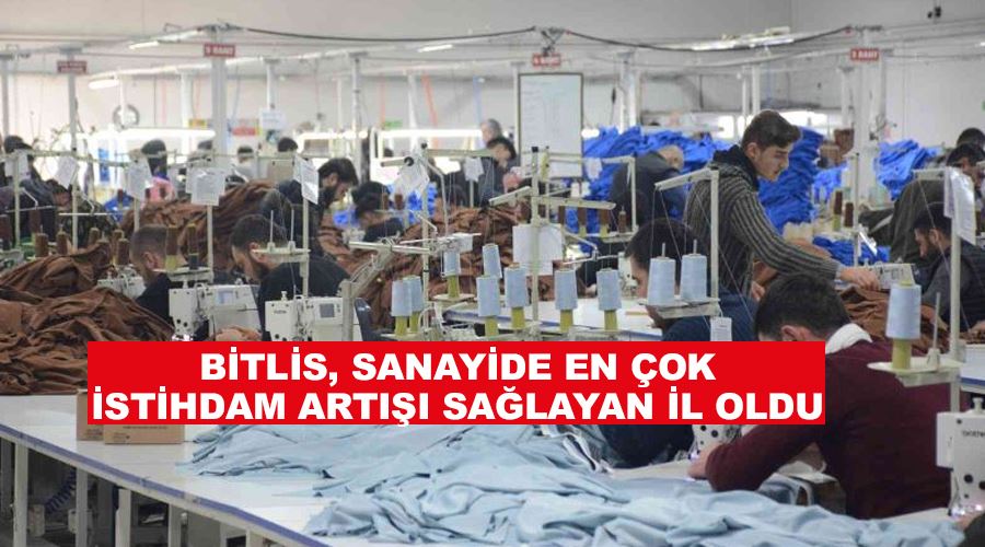 Bitlis, sanayide en çok istihdam artışı sağlayan il oldu