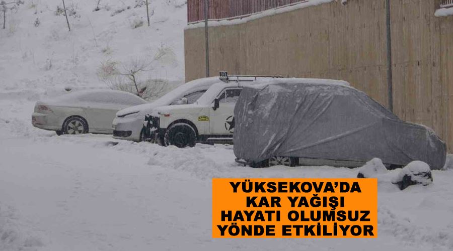 Yüksekova’da kar yağışı hayatı olumsuz yönde etkiliyor