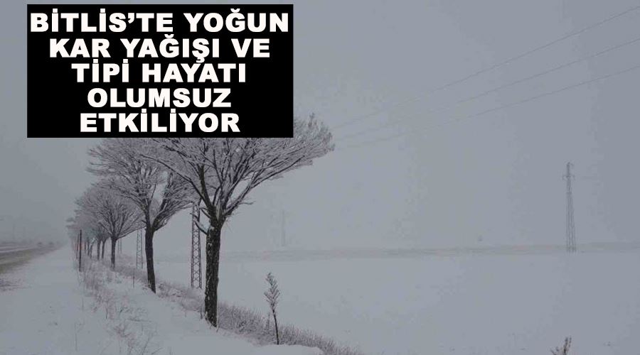 Bitlis’te yoğun kar yağışı ve tipi hayatı olumsuz etkiliyor