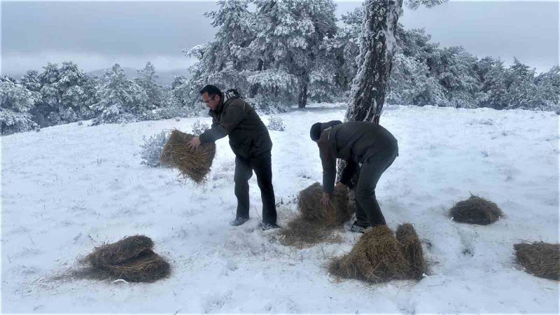 Kütahya OBM’den yaban hayvanlarına yem desteği
