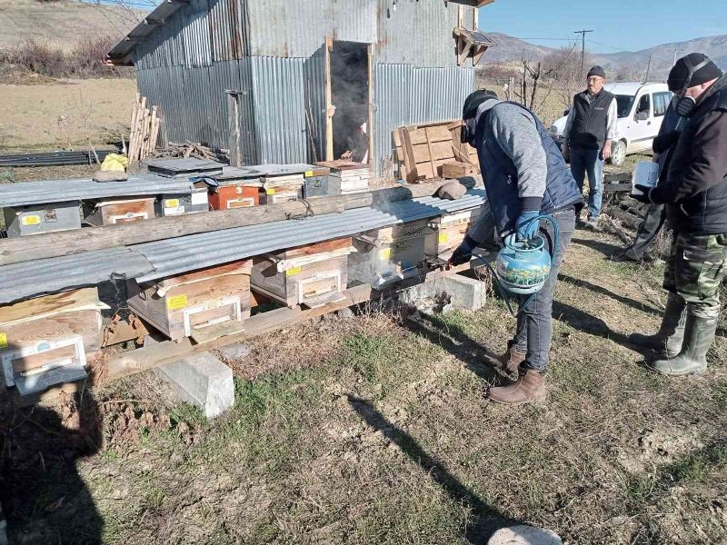 Seben’de arı kenesine karşı ilaçlama yapıldı
