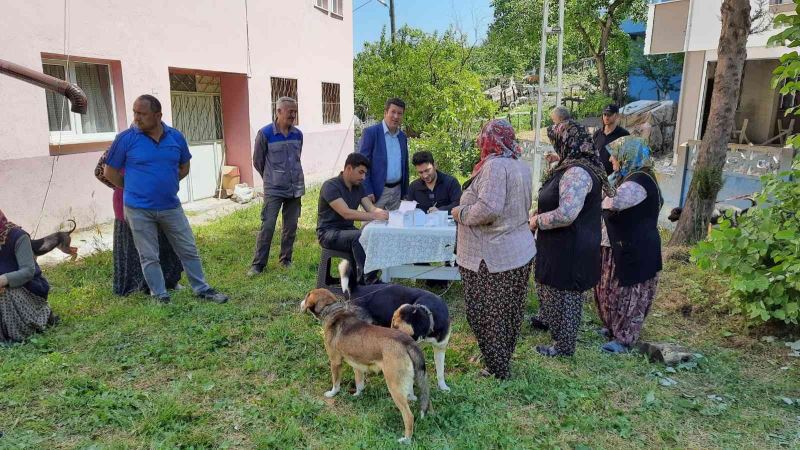 Zonguldak’ta 12 bin 655 evcil hayvana çip takıldı
