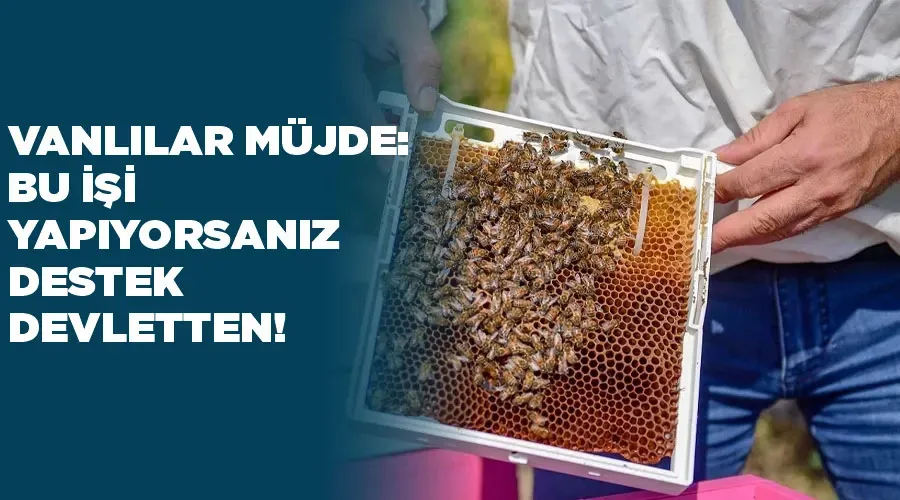 Vanlılar müjde: Bu işi yapıyorsanız destek devletten!