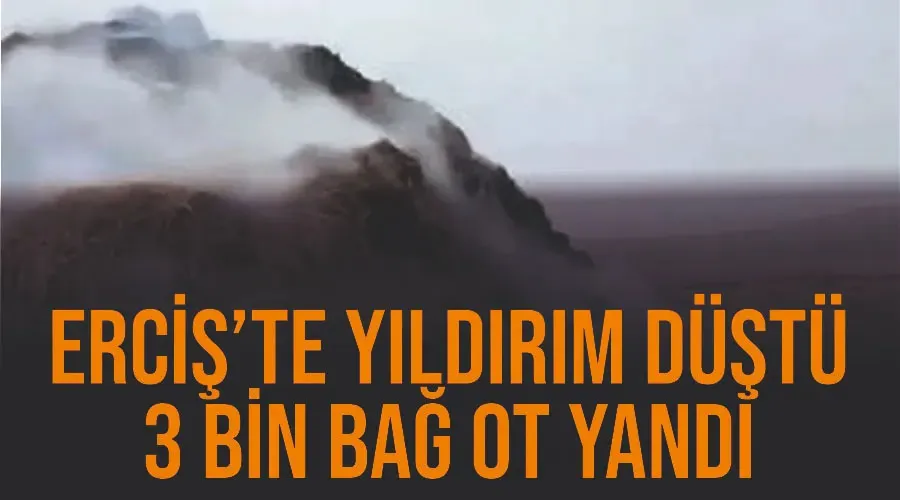 Erciş’te yıldırım düştü, 3 bin bağ ot yandı