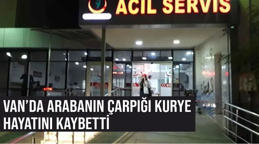 Van’da arabanın çarpığı kurye hayatını kaybetti