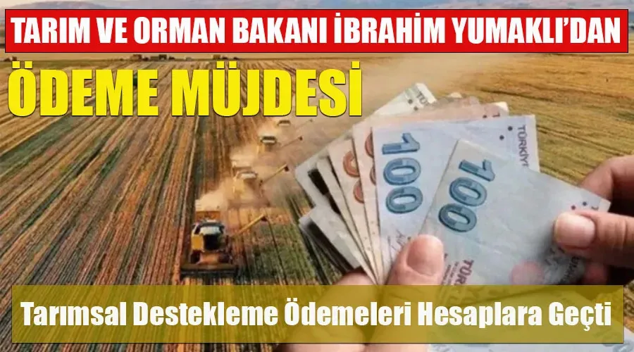 Çiftçilere müjde! Tarımsal destekleme ödemesi hesaplara geçti