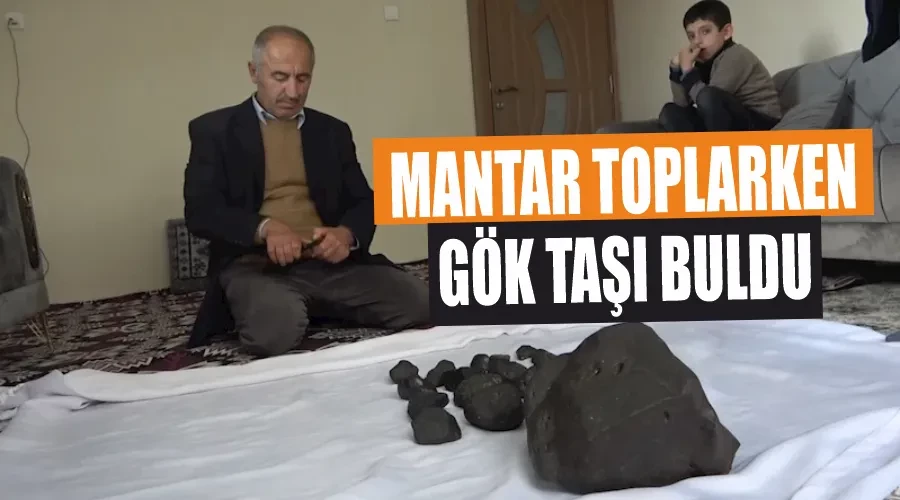 Mantar toplarken gök taşı buldu