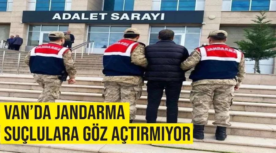 Van’da jandarma suçlulara göz açtırmıyor