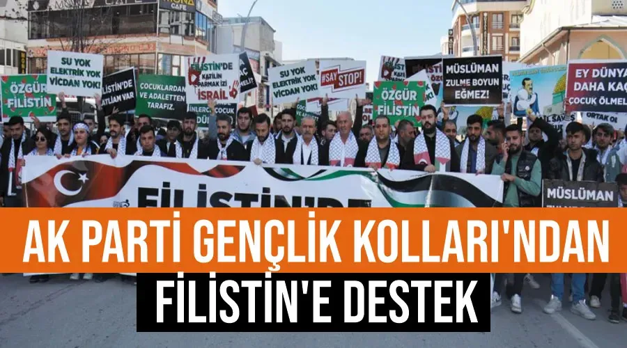 AK Parti Gençlik Kolları