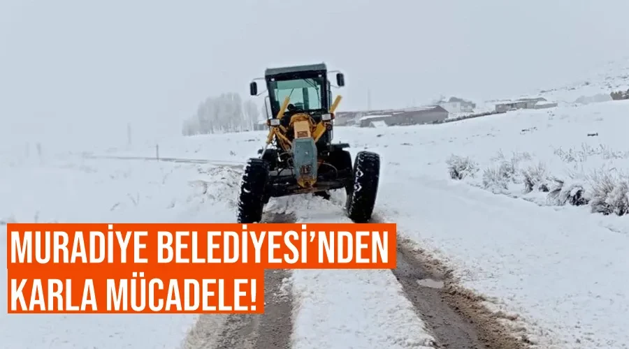 Muradiye Belediyesi’nden karla mücadele!