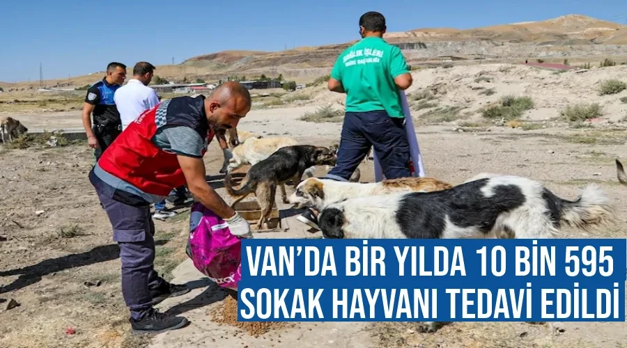 Van’da bir yılda 10 bin 595 sokak hayvanı tedavi edildi