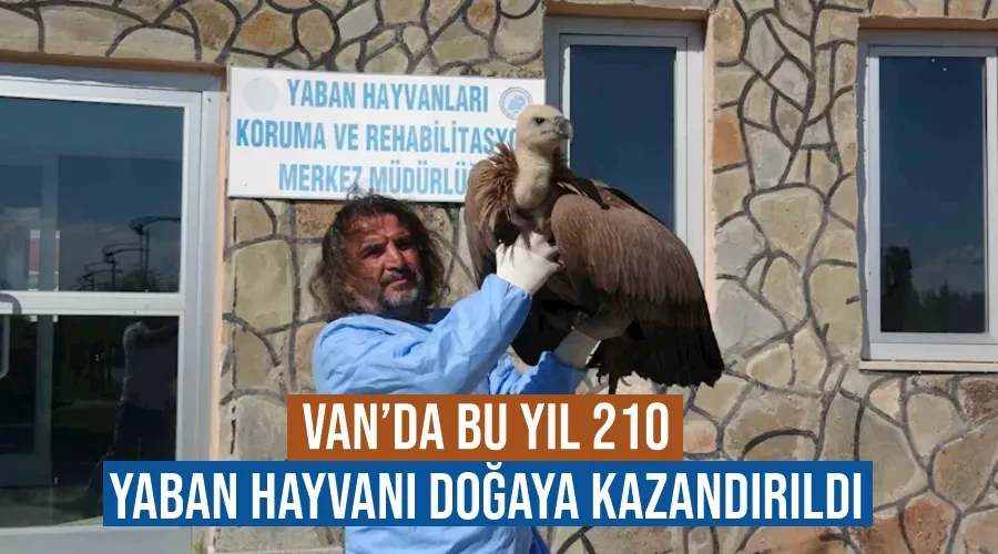 Van’da bu yıl 210 yaban hayvanı doğaya kazandırıldı