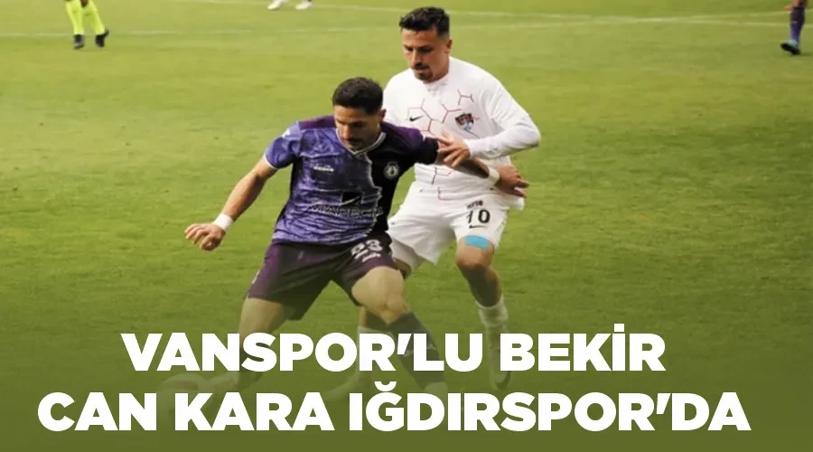 Vanspor