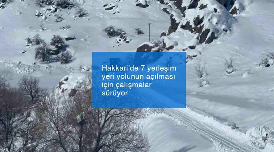 Hakkari’de 7 yerleşim yeri yolunun açılması için çalışmalar sürüyor