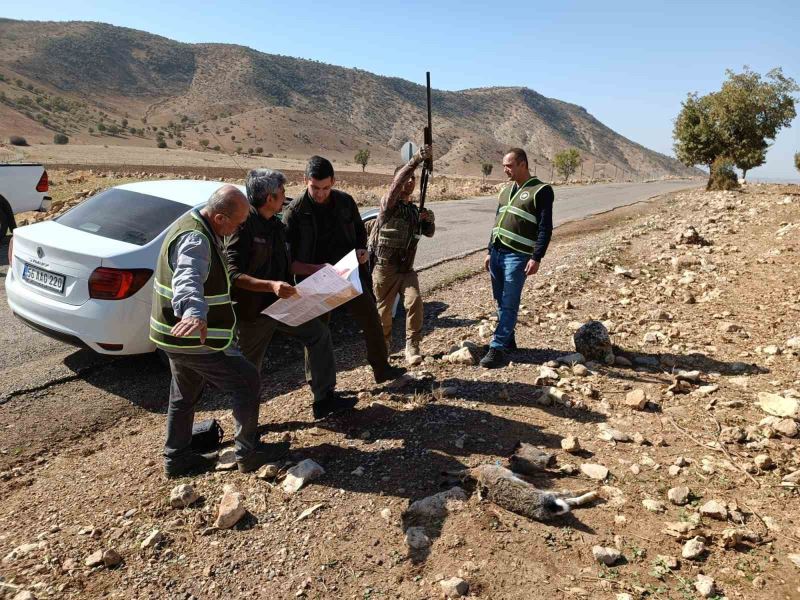 Siirt’te depremden etkilendiği değerlendirilen yaban hayvanlarının korunması için av yasağı başladı
