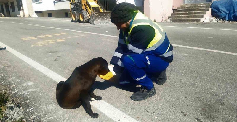 Nerede bir can varsa, orada Bursa var
