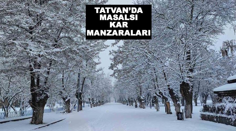 Tatvan’da masalsı kar manzaraları