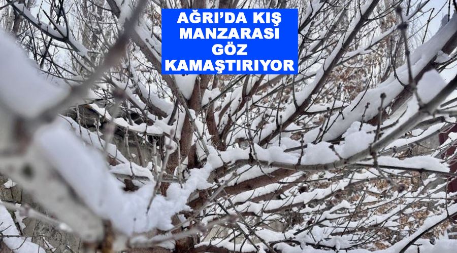 Ağrı’da kış manzarası göz kamaştırıyor