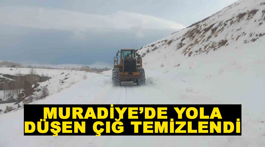 Muradiye’de yola düşen çığ temizlendi